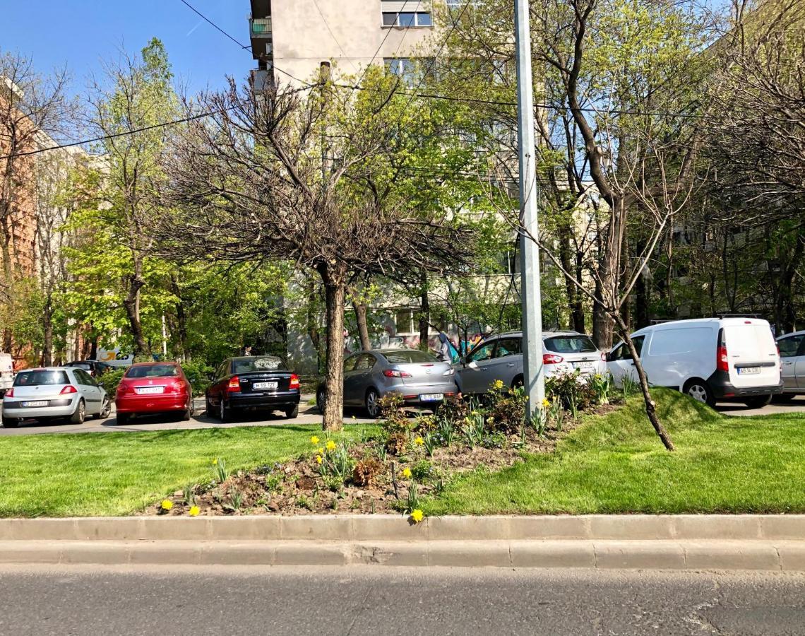 Cozy And Clean Apartment, Near National Arena Bucareste Exterior foto